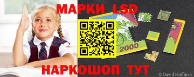 дмт Краснодар