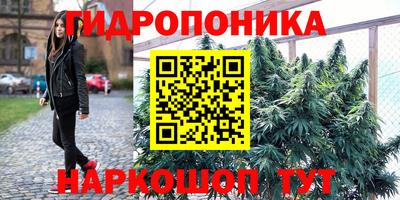 индика Краснокаменск