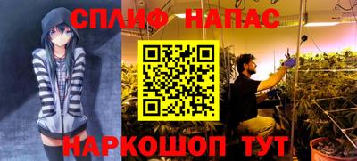 индика Краснокаменск