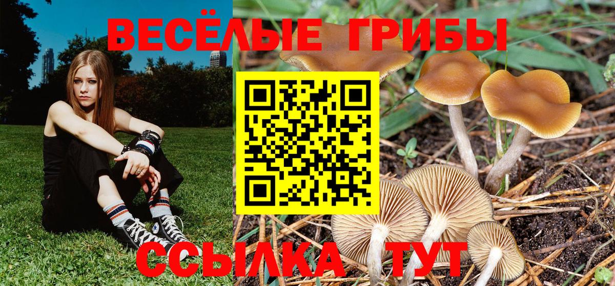 Псилоцибиновые грибы мухоморы  Псилоцибиновые грибы мицелий  Вход с VPN  Ипатово 